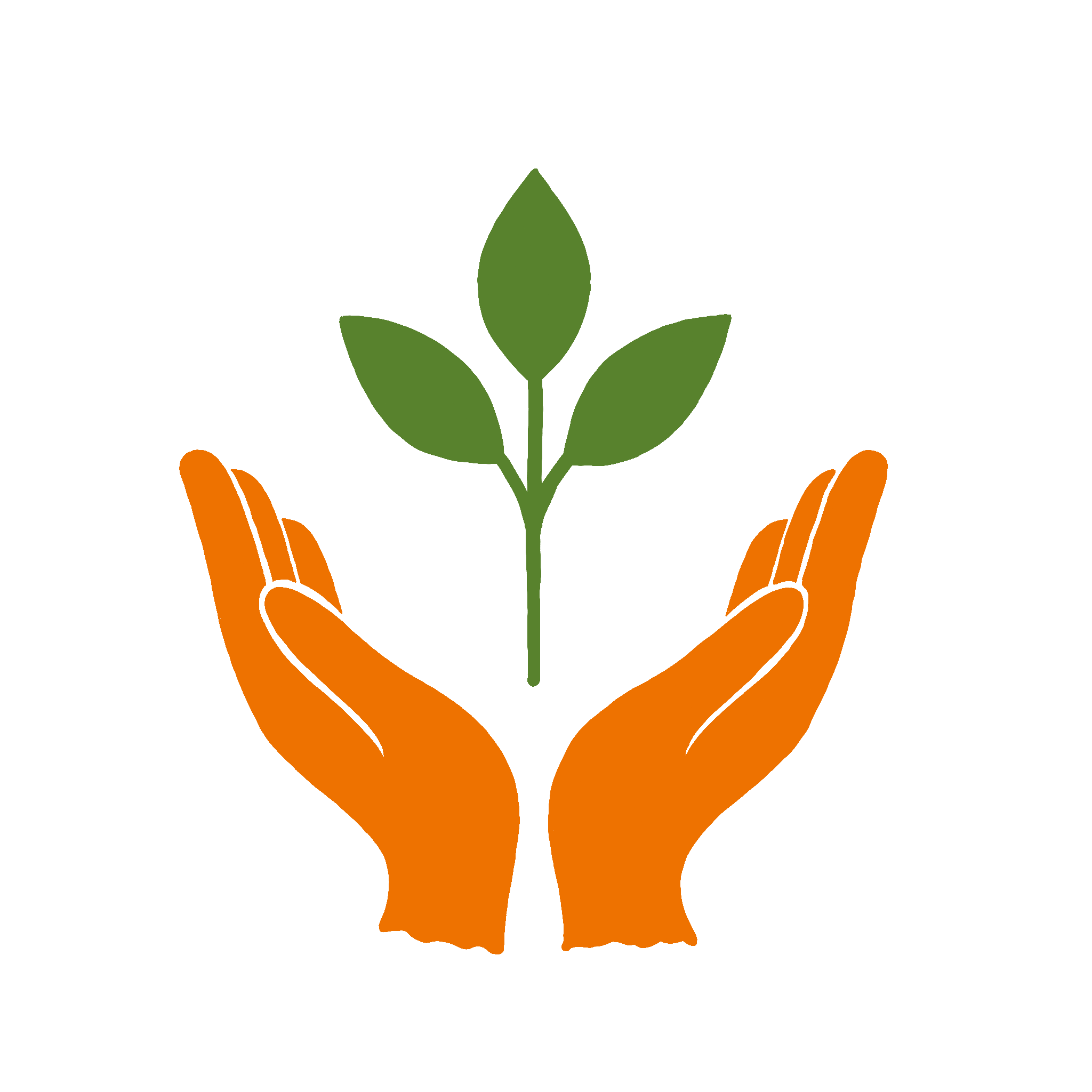 Mãos segurando um broto de planta, simbolizando crescimento e cuidado.