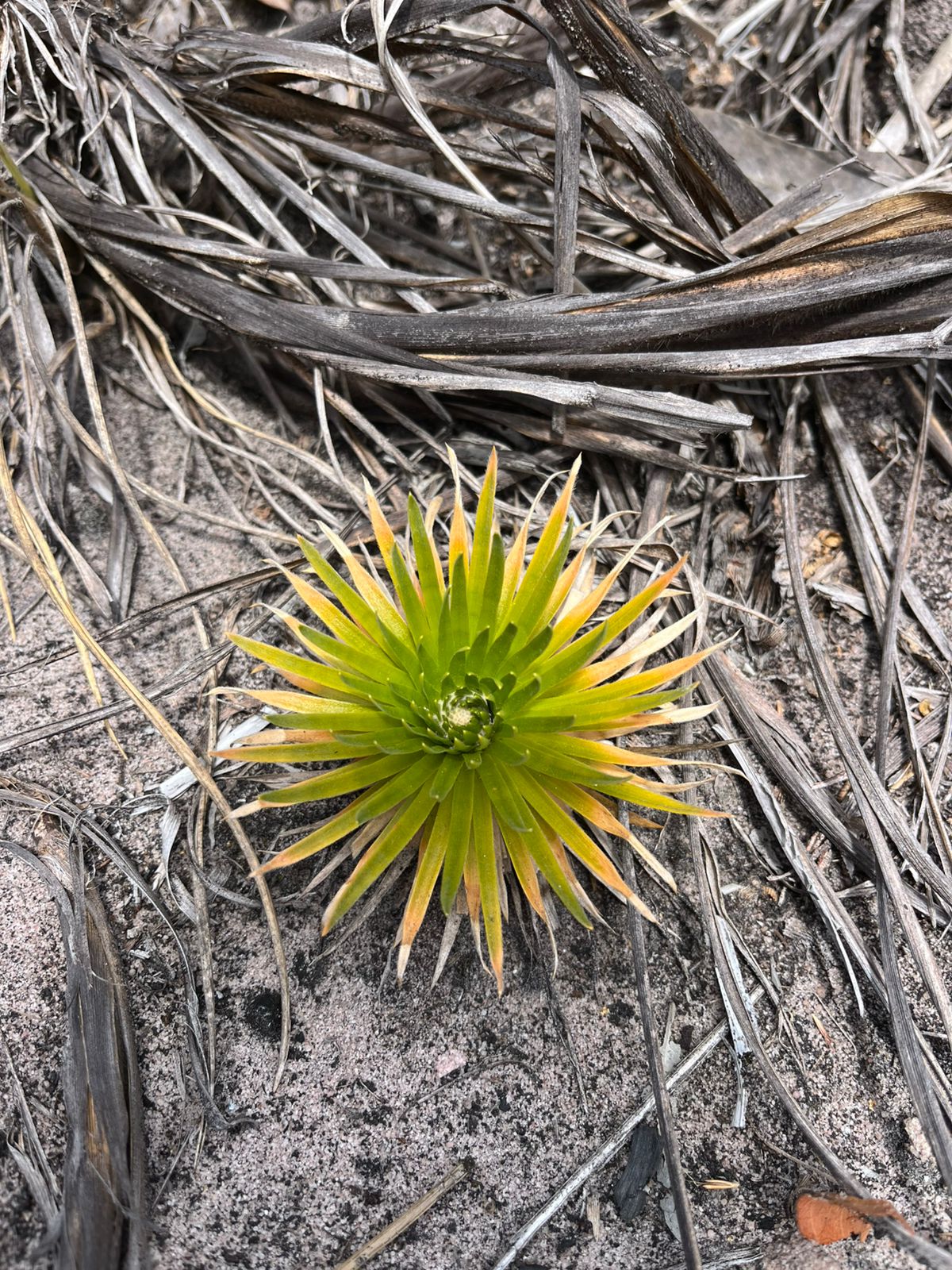 O que acontece depois do incômodo?